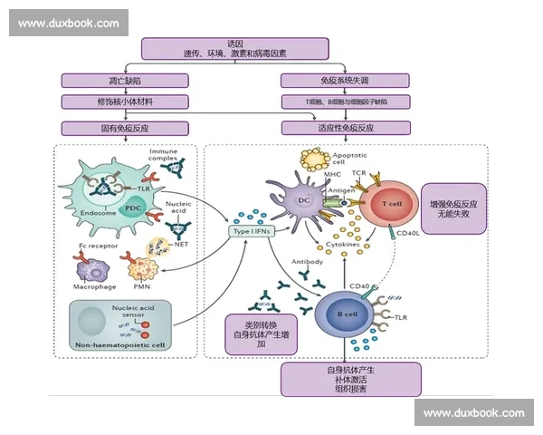 红斑狼疮的病因机制临床表现与个体化治疗新进展探索 红斑狼疮的病因机制临床表现与个体化治疗新进展探索