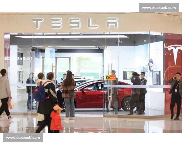 赛场风云！下一站巨星，能否在此诞生