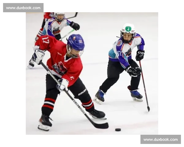 雪上飞驰的冰上芭蕾,冰球直播让你肾上腺素飙升! 雪上飞驰的冰上芭蕾,冰球直播让你肾上腺素飙升!