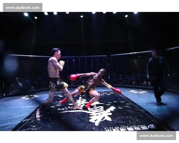 拳击擂台热血澎湃，全运数据榜上的硬汉对决